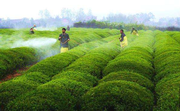 為什么要進行食品安全檢驗?