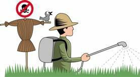 農(nóng)藥殘留 農(nóng)藥殘留