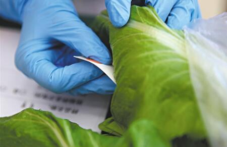 農(nóng)藥殘留檢測儀 農(nóng)藥殘留檢測儀