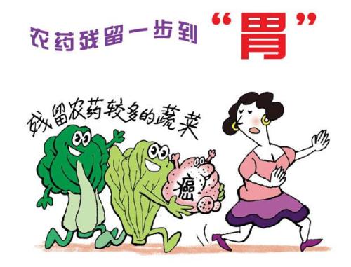 品牌雞蛋真的比普通雞蛋營養嗎? 品牌雞蛋真的比普通雞蛋營養嗎?