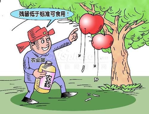 如何保證我們的飲食健康? 如何保證我們的飲食健康?