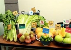 小白心里軟食品安全總動員,健康烘焙齊升級