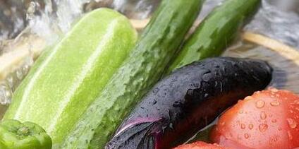 農藥殘留速測儀 農藥殘留速測儀