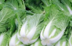 果蔬農(nóng)殘檢測(cè)儀防止農(nóng)藥“過度噴灑”