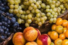 食品安全速測儀提高食品企業經濟收益