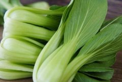 農藥殘留檢測儀解決農殘超標問題