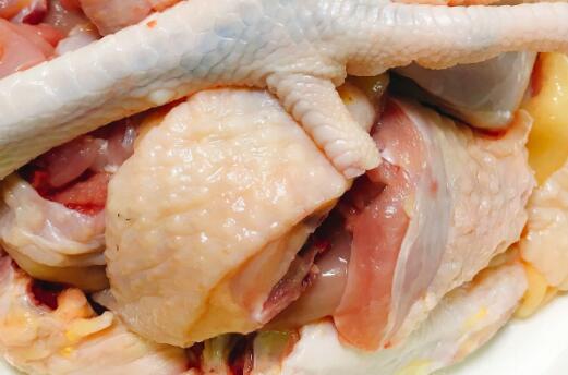 病害肉檢測儀 病害肉檢測儀