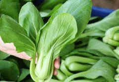 果蔬農殘檢測儀不能測量農殘含量