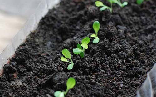 農藥殘留檢測儀