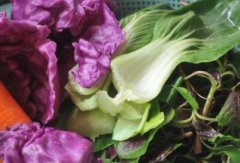 食品安全速測儀有什么優(yōu)勢？