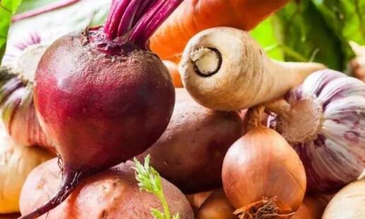 農(nóng)殘快速檢測儀 農(nóng)殘快速檢測儀