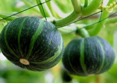 農藥殘留檢測儀