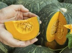 食品安全檢測儀可以檢測多種項目