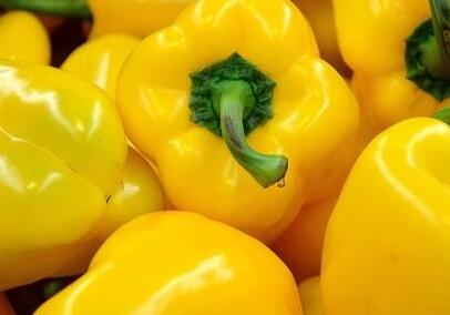 便攜式農殘檢測儀 便攜式農殘檢測儀