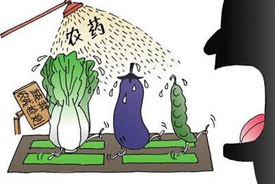 農(nóng)殘檢測儀 農(nóng)殘檢測儀